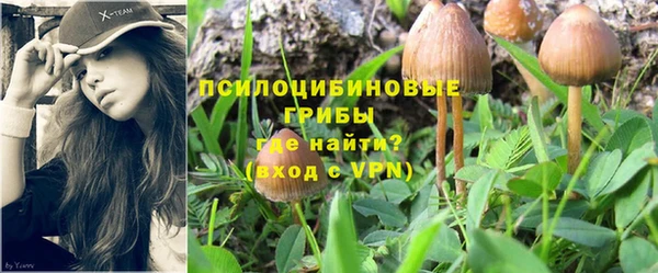 таблы Бронницы